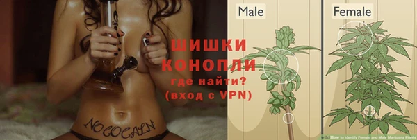 дмт Кинешма