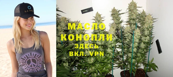 дмт Кинешма