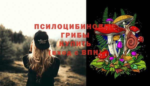 прущая мука Киреевск