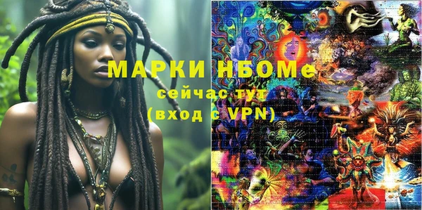 стаф Киренск