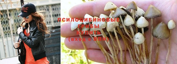 прущая мука Киреевск
