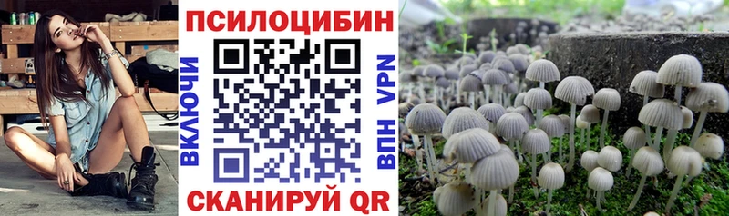 Купить закладки  Дмитров  Галлюциногенные грибы Psilocybine cubensis 
